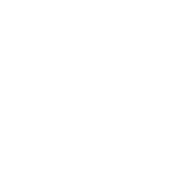 Weronika Kleinhenz Hochzeitsfotografie